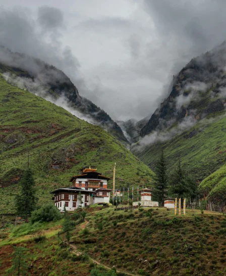 Chitwan wildlife